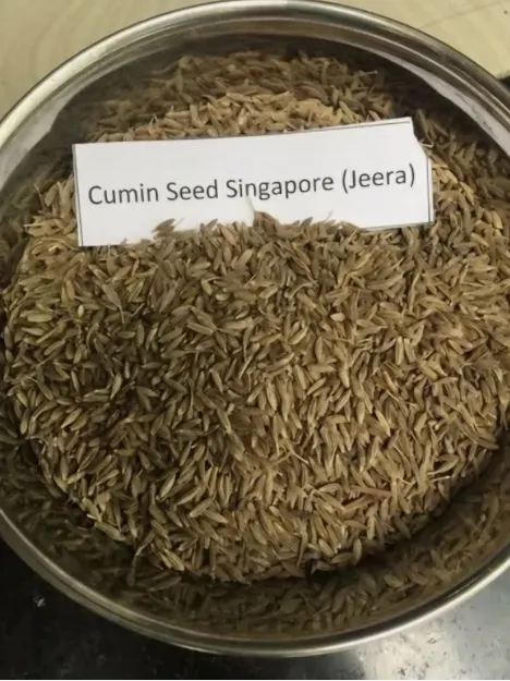Cumin Seeds Product Image