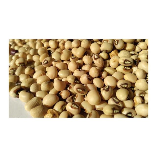 Export Grade Cowpeas - High Quality and Hygienic