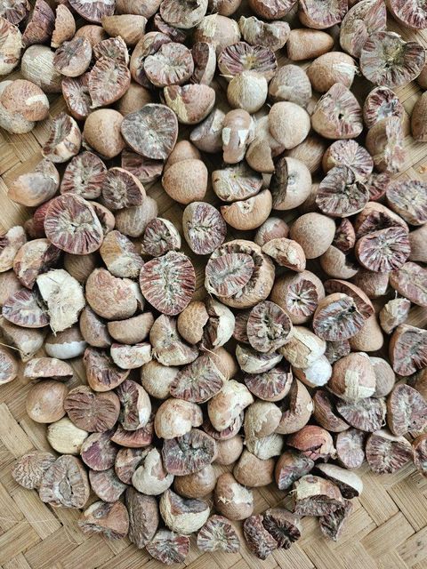 Betel Nut Product 1