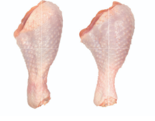 Frozen Chicken Drumstick