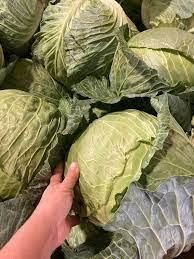 Fresh Cabbage Image 2