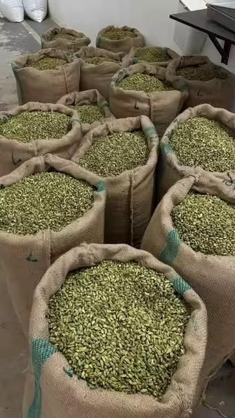 Food Grade Green Cardamom