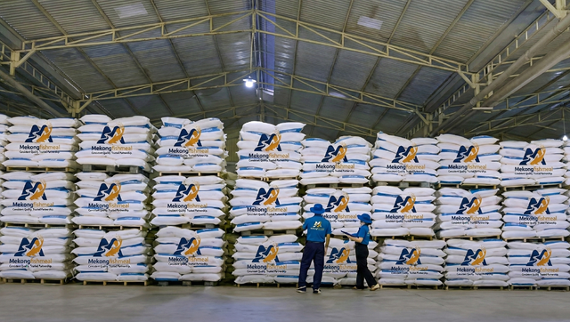 Pangasius Fishmeal Image 4