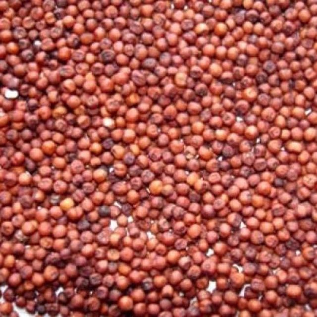 Premium Finger Millet - Bulk Packaging