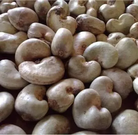 Cashew nuts product image 2