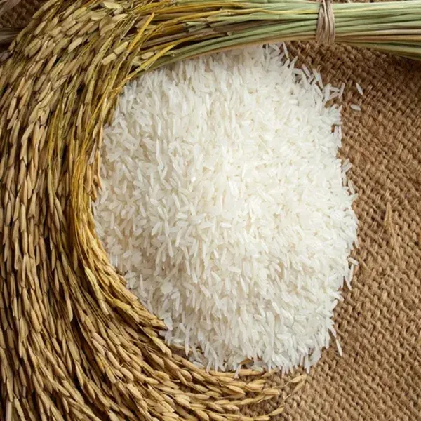Rice in Serving Bowl