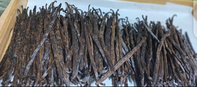 Vanilla Extract Product