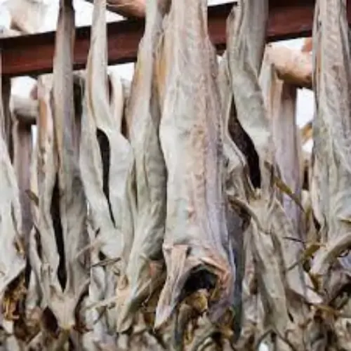 Dry Stock Fish Head from Norway