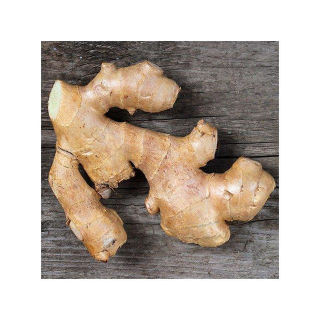 Fresh Ginger Root