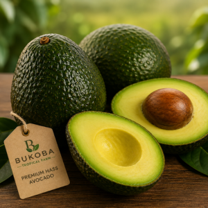 Premium Hass Avocado Product Image 1