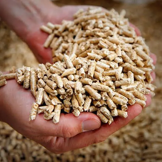 Premium wood pellets stacked for shipment