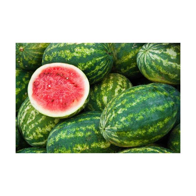 Fresh watermelon slice