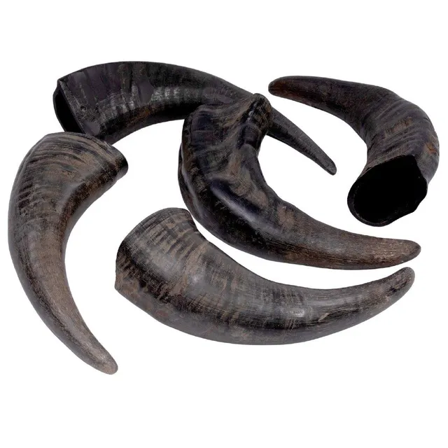 Horn Dog Chew Image 2