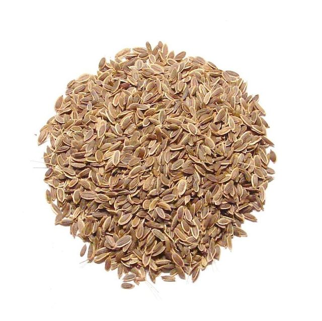 Dill Seed Image 2