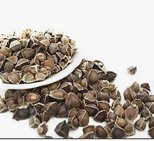 Moringa Seeds Packaging
