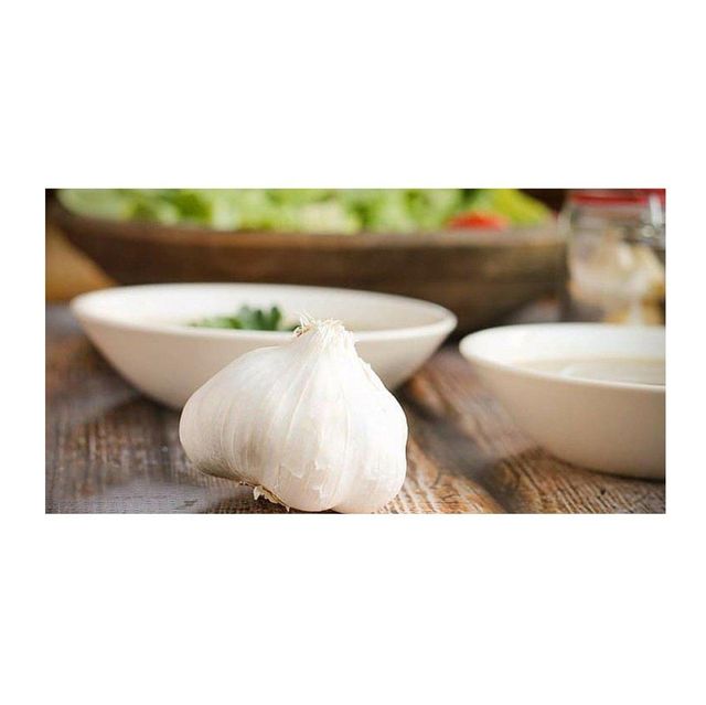 Fresh Pure White Garlic