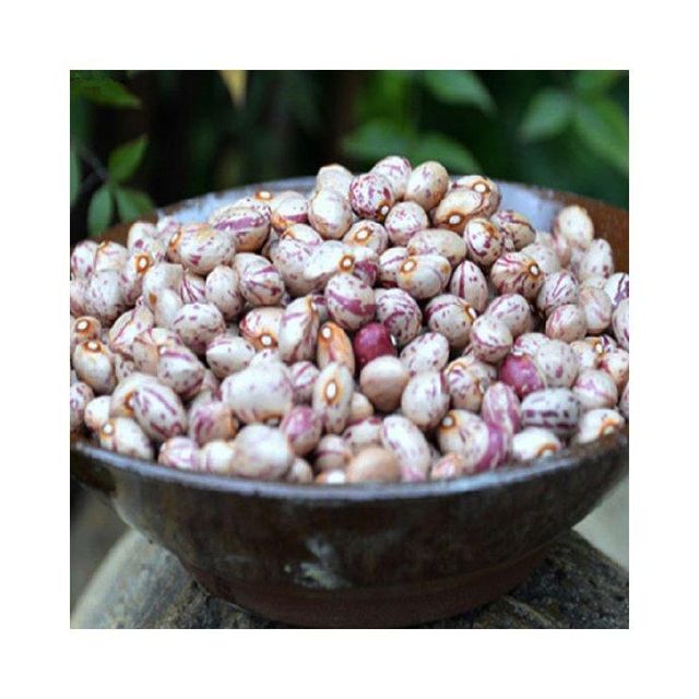 Dried Sugar Beans - Product 3