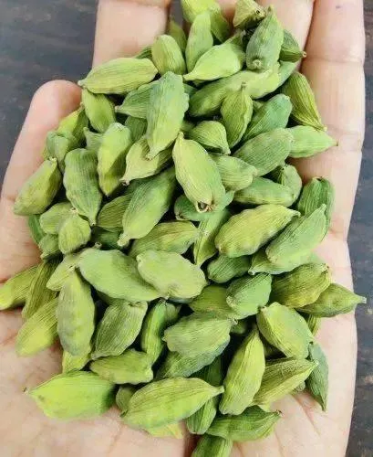Premium Green Elaichi Pods - Natural Aromatic