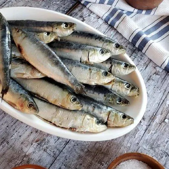 Frozen Sardine 3