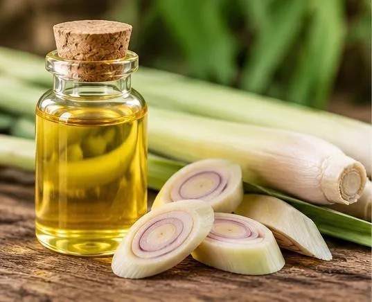 Essential oil production process - distillation setup