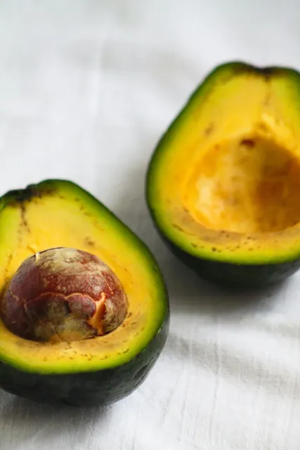 Quintal Avocado
