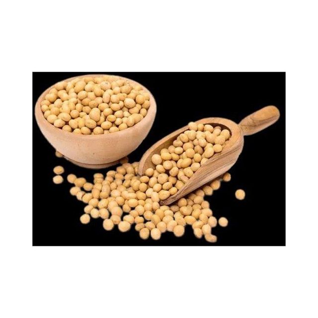Fresh Organic Soybeans
