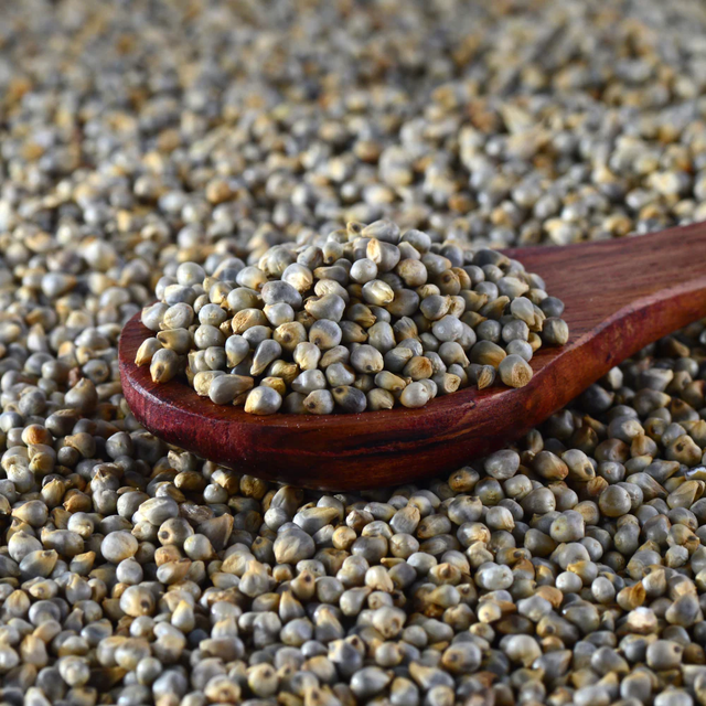 Bulk Packaging Pearl Millet