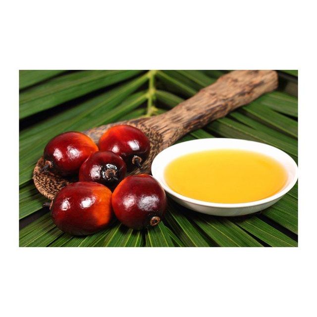 Palm Kernel Oil