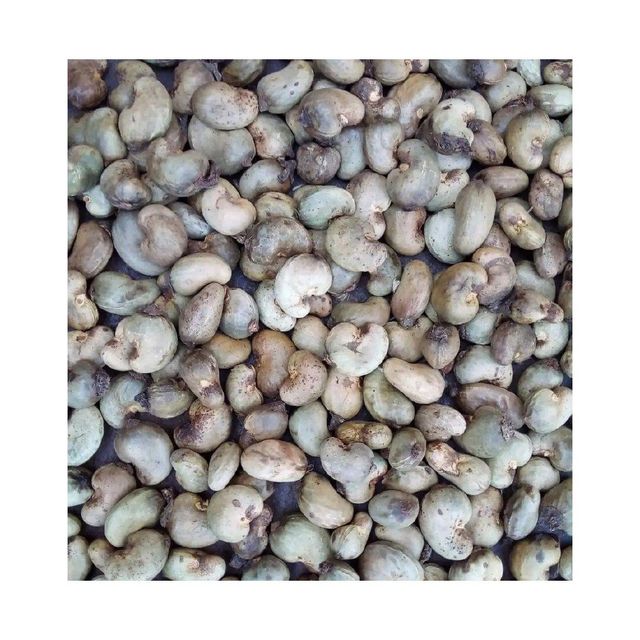 Raw Cashew Nut Image 3