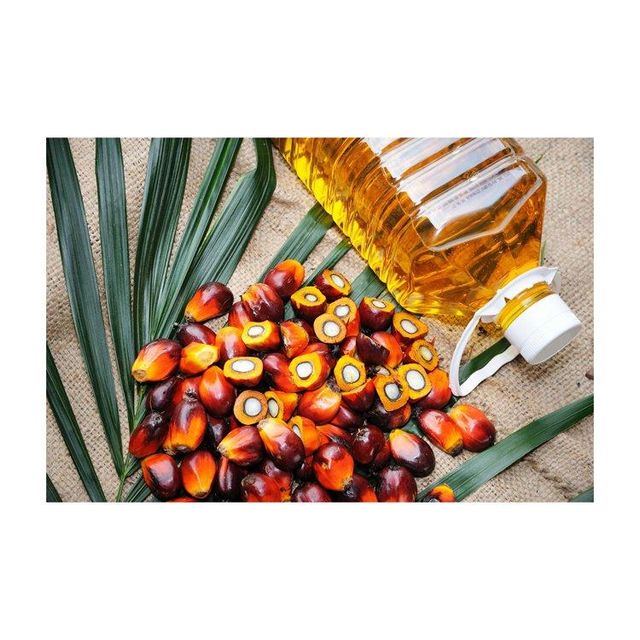 Palm Fruit Oil