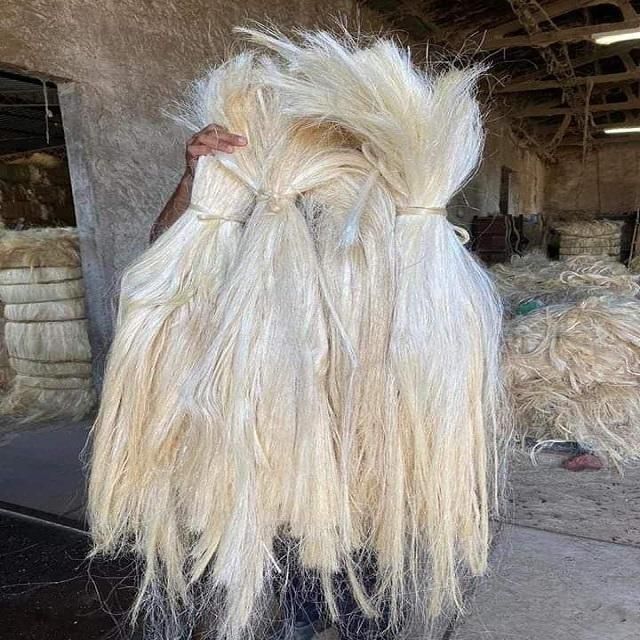 Sisal Fiber Image 2