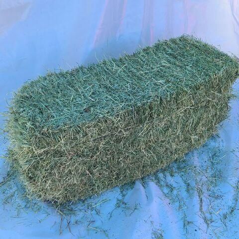 Alfalfa Hay Bale
