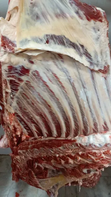 Bull Beef Cut Close-up