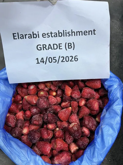 IQF Strawberry Pieces