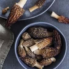 Morel Mushroom - Natural Texture