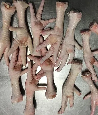 Grade A Frozen Chicken Paws