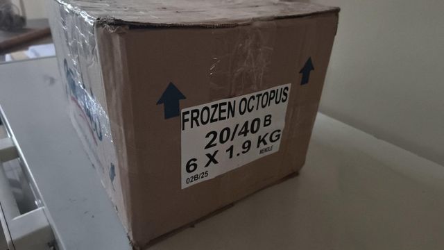 Frozen Baby Octopus Whole Clean