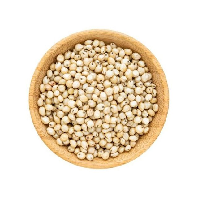 Sorghum for Beverage Industry