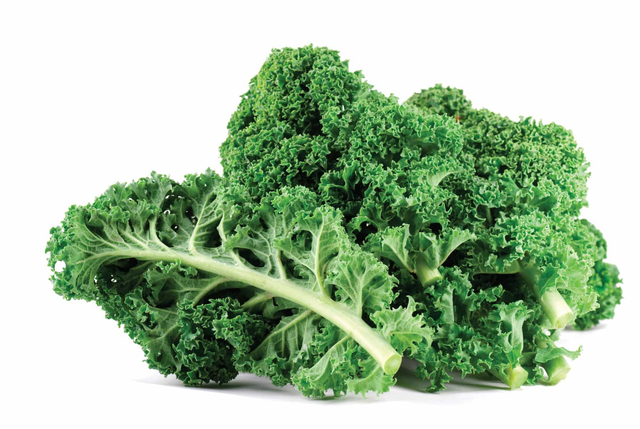 Fresh Kale Leaf