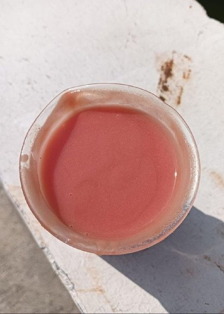 Pink Guava Pulp 2