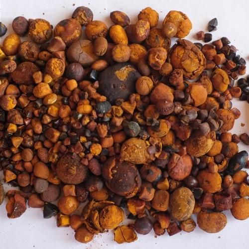 Ox Gallstone Image 5