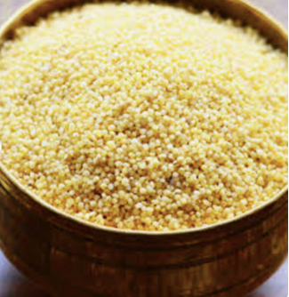 Yellow Millet in Storage Container