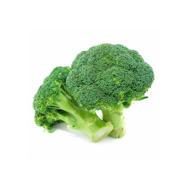 Broccoli bunch with vibrant green heads