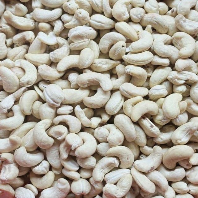 Factory-Dried Raw Cashew Nut Kernel WW240