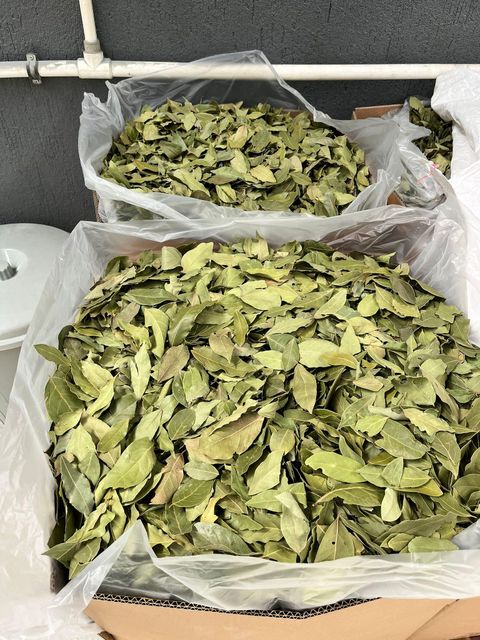 Bay Leaves Image 1