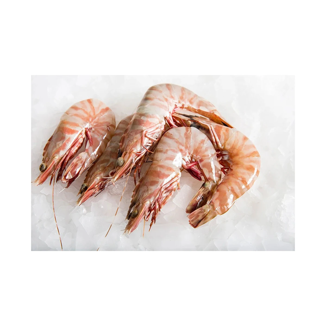 Fresh Tiger Prawn