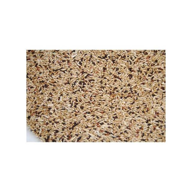 Natural canary seed in bulk packaging