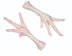 Frozen Chicken Feet 3