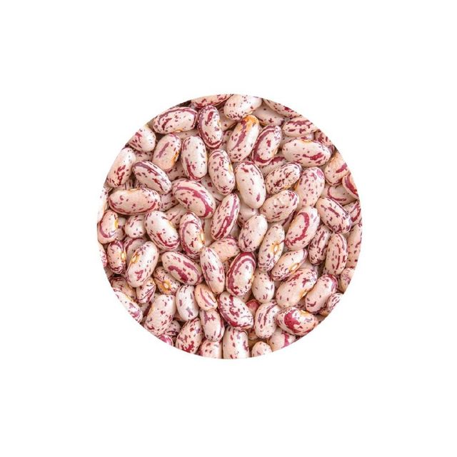 Bulk Sugar Beans