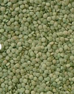 Long Shape Kidney Beans